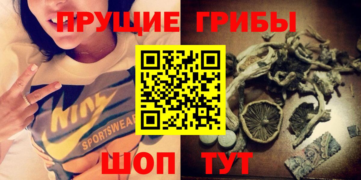 Галлюциногенные грибы мицелий Богданович